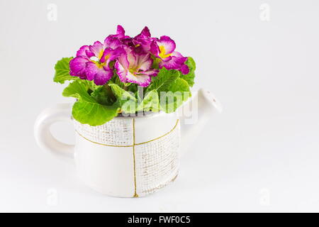 Fleurs roses dans un seau d'eau sur blanc Banque D'Images