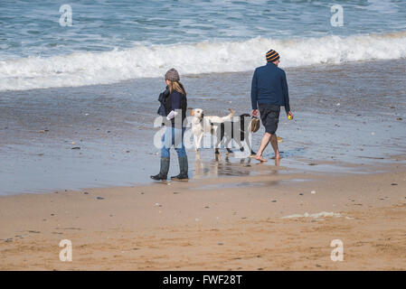 Les gens et les chiens sur la plage de Fistral, Newquay, Cornwall. Banque D'Images