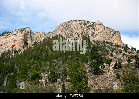 Nevada high country dans le comté de Clark, Nevada près de Mount Charleston Banque D'Images