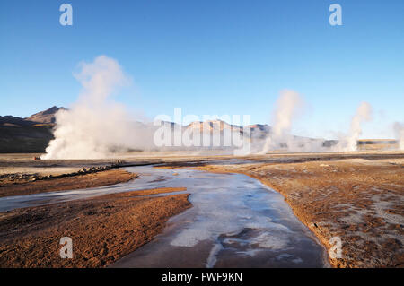 Matin dans 'El Tatio Geysers', Atacama, Chili Banque D'Images