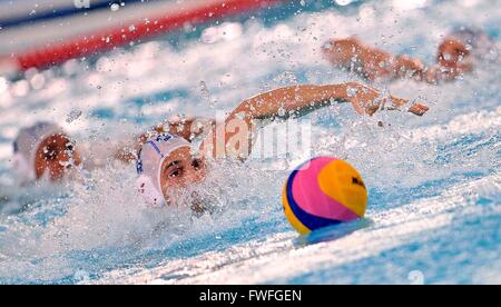 Trieste, Italie. 4 avril, 2016. L'Italie Pietro Figlioli pendant l'Italie v Afrique du Sud match à la FINA de water-polo masculin Tournoi de qualification pour les Jeux Olympiques, le 04 avril 2016. photo Simone Ferraro / Alamy Live News Banque D'Images