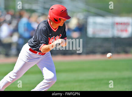 Cleveland, MS, États-Unis d'Amérique. 06Th avr, 2016. Le voltigeur des frères chrétiens Jeff Goodwin fait un bunt durant la cinquième manche d'un match de base-ball NCAA college entre frères chrétiens et l'Etat du Delta au Dave ''Boo'' Ferriss Domaine à Cleveland, MS. L'Etat du Delta a gagné 10-0 après 7 manches. McAfee Austin/CSM/Alamy Live News Banque D'Images