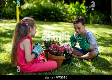 Frères et soeurs assis avec les pots de fleurs dans la cour Banque D'Images