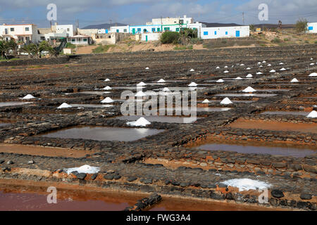 L'évaporation de l'eau de mer dans les marais salants, Musée de la Sal, musée du sel, Las Salinas del Carmen, Fuerteventura, Espagne Banque D'Images