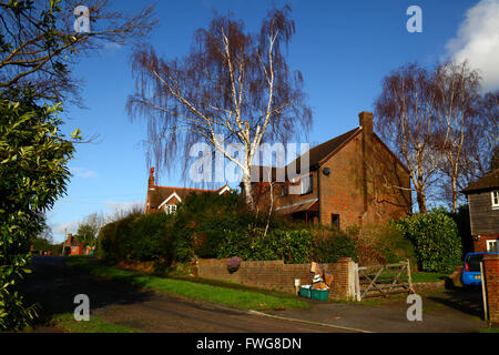 Bacs verts avec carton pour le recyclage en attente de collecte à l'extérieur de la maison sur un domaine haut de gamme, Southborough, Kent, Angleterre Banque D'Images