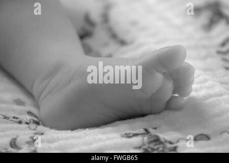 Close-up of baby pieds. L'accent sur pied. Banque D'Images