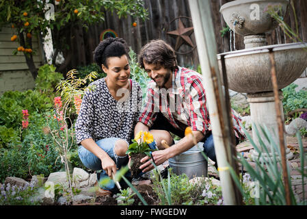 Un couple dans le jardin planter des fleurs. Banque D'Images