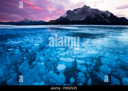 Des bulles et des fissures dans la glace avec le mont Michener et pic de Kista en arrière-plan au lever du soleil, le lac Abraham, Alberta, Canada Banque D'Images