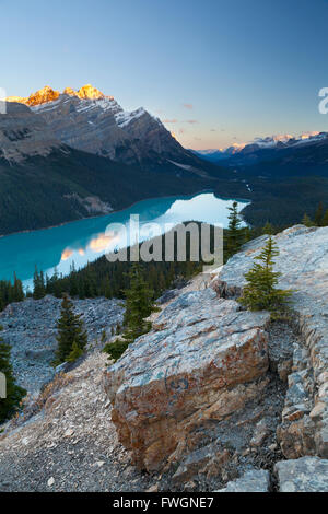 Le lac Peyto au lever du soleil, Banff National Park, site du patrimoine mondial de l'UNESCO, des montagnes Rocheuses, Alberta, Canada, Amérique du Nord Banque D'Images