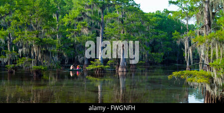 Caddo Lake, Texas, États-Unis d'Amérique, Amérique du Nord Banque D'Images