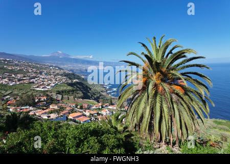 Vue sur la vallée de la Orotava sur la côte nord et Puerto de la Cruz und den Teide, Tenerife, Canaries, Espagne, de l'Atlantique Banque D'Images