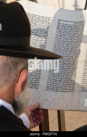 Juif de la lecture d'un rouleau de Torah, Mur occidental, vieille ville de Jérusalem, Israël, Moyen Orient Banque D'Images