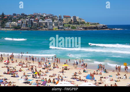 Bondi Beach, Sydney, Nouvelle-Galles du Sud, Australie, Océanie Banque D'Images