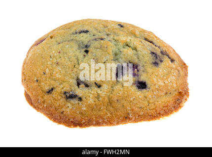 Vue latérale d'un blueberry muffin fraîchement cuit haut isolé sur un fond blanc. Banque D'Images