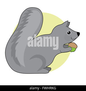 Un peu d'écureuil gris avec une grosse queue pelucheuse est de manger un gland Banque D'Images