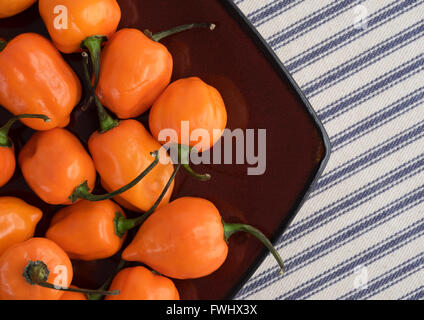 Haut de page Fermer la vue d'un plat de poivrons habanero orange sur un tapis de table à rayures. Banque D'Images