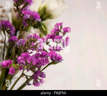 Beau bouquet de fleurs sauvages violet printemps Banque D'Images