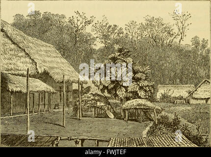 Le Brésil, les amazones et la côte (1879) Banque D'Images
