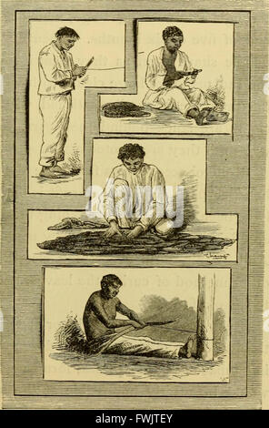 Le Brésil, les amazones et la côte (1879) Banque D'Images