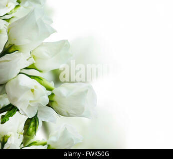 Magnifique bouquet de roses blanches délicates Banque D'Images