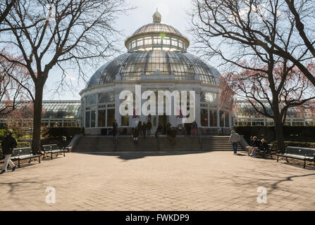 Entrée de l'Enid A. Haupt Conservatory à New York Botanical Gardens dans le Bronx, New York City, au printemps Banque D'Images