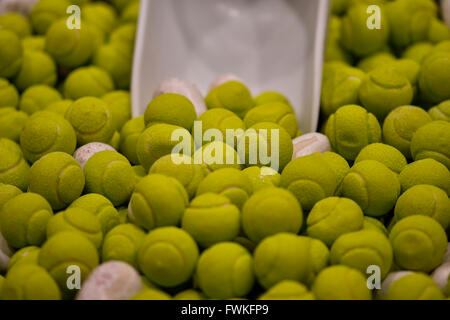 Bonbons à afficher à Split, Croatie Banque D'Images