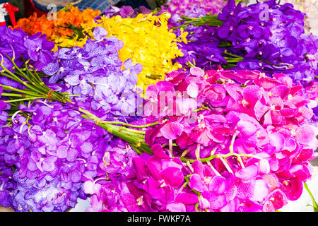 Orchidées Pak Khlong Talat marché aux fleurs, Bangkok, Thaïlande Banque D'Images