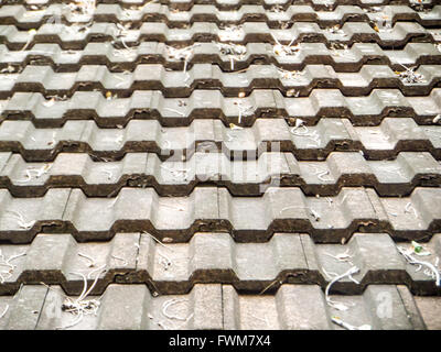 Des feuilles sèches sur le vieux toit brisé et Banque D'Images