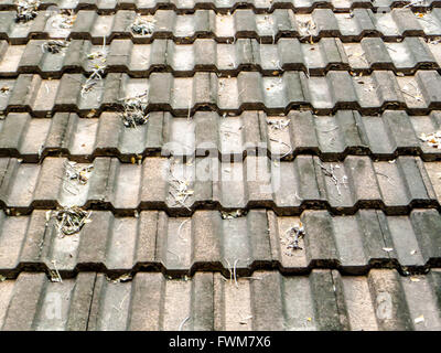 Des feuilles sèches sur le vieux toit brisé et Banque D'Images