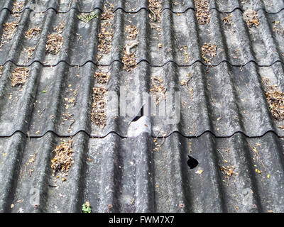 Des feuilles sèches sur le vieux toit brisé et Banque D'Images