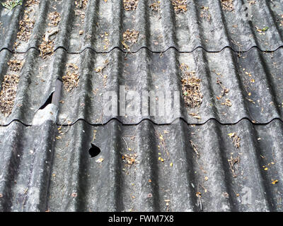 Des feuilles sèches sur le vieux toit brisé et Banque D'Images