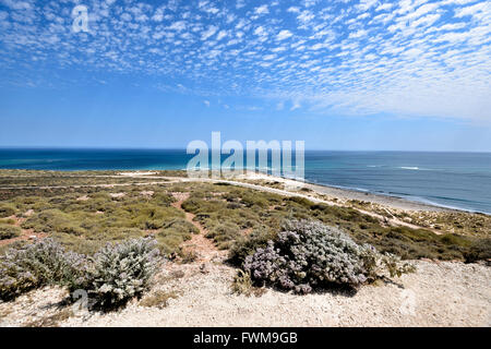 L'ouest de l'Australie, la côte de Ningaloo, WA, Australie Banque D'Images