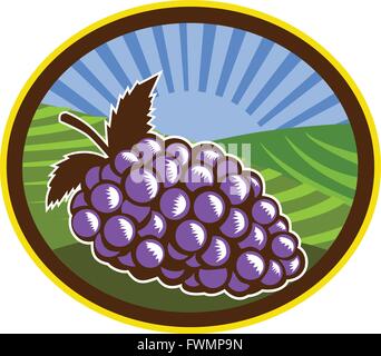 Illustration d'une grappe de raisins mis à l'intérieur de la forme ovale avec ferme vigneronne et solarisation à l'arrière-plan fait en gravure sur bois rétro Illustration de Vecteur
