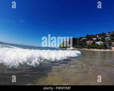 Palm Beach, dans le nord de Sydney, NSW, Australie. Pas de PR Banque D'Images