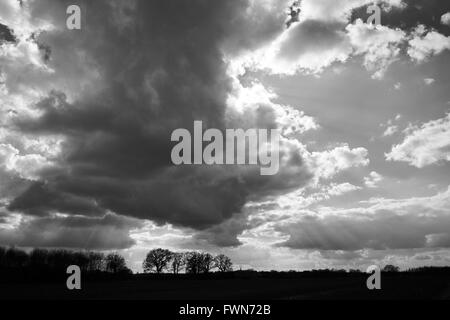 Les Cumulonimbus formant contre un ciel bleu sur des terres agricoles. Bedfordshire, Royaume-Uni. Banque D'Images