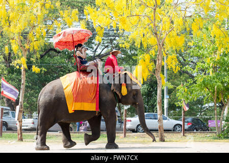 L'équitation d'éléphant en Thaïlande, Ayudhaya. Les éléphants peuvent être trouvés dans toute la ville et offrant des tours pour les touristes Banque D'Images