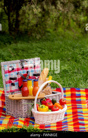 Pique-nique sur l'herbe. Panier pique-nique avec des légumes et du pain. Une bouteille de vin avec des verres et des bouteilles de jus. Banque D'Images
