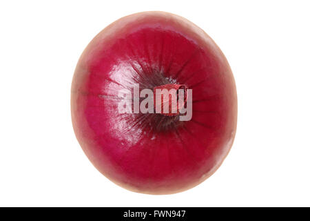 Oignon rouge Vue de dessus légumes isolé sur fond blanc Banque D'Images