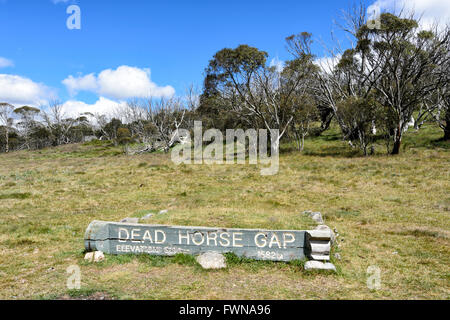 Dead Horse Gap, Kosciuszko National Park, New South Wales, Australie Banque D'Images