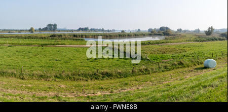 Panorama de la rivière IJssel river meadows b&b à l'automne, Gueldre, Pays-Bas Banque D'Images