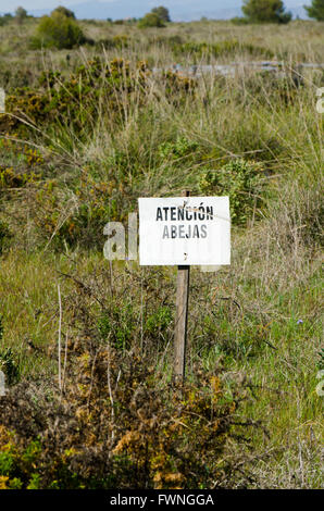 Inscription Attention les abeilles dans l'espagnol, l'Atencion Abejas. L'Espagne. Banque D'Images