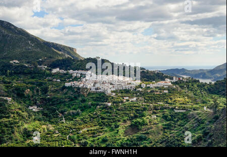 Le village blanc d'Istan, cachés dans des montagnes de la Sierra de las Nieves, Andalousie, Espagne Banque D'Images