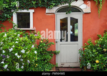 Portes et fenêtres de style italien avec bush fleurs Banque D'Images