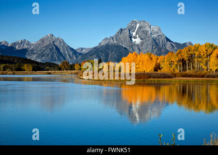 WYOMING - Tôt le matin, la lumière du soleil sur le Tetons et trembles dans la couleur de l'automne de l'Oxbow Bend donnent sur de la Snake River. Banque D'Images