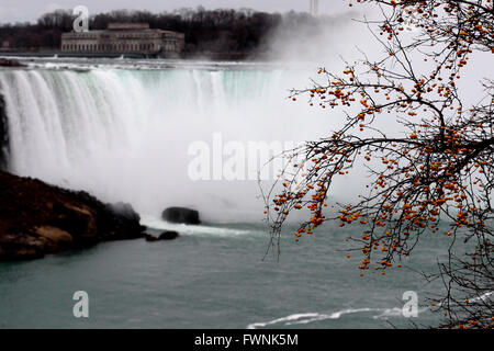 Belle arrière-plan avec un bush et les chutes du Niagara dans la soirée Banque D'Images