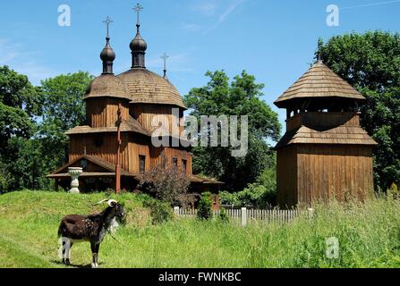 Lublin, Pologne : 1759 Saint Nicolas Eglise Grecque Orthodoxe en bois avec petit beffroi, et une chèvre de pâturage à proximité à Skansen Museum Banque D'Images