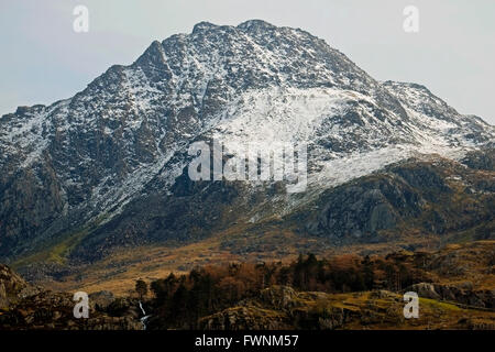 An Wen Ole Welsh Mountain Gamme GwyneddNorth Carneddau Snowdonia au Pays de Galles UK Royaume-Uni UE Union Européenne Europe Banque D'Images