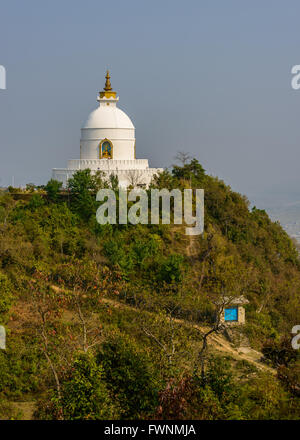 La Pagode de la paix mondiale à Pokhara, Népal Banque D'Images