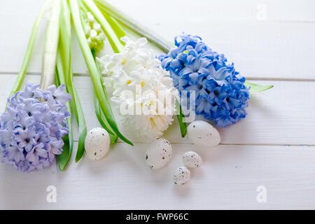 Fleurs fraîches roses, bleues et blanches jacinthes avec des oeufs de Pâques dans un rayon de lumière sur fond en bois peint blanc. Placer pour le texte Banque D'Images