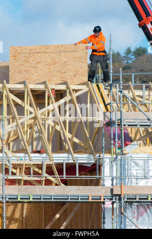 Une équipe de travailleurs à contrat construction bâtiment (charpentiers et menuisiers) travaillant sur la "première fix' travaux structurels sur le toit trussed coquille d'un cadre en bois nouveau bloc d'appartements Appartements Maisons, UK Banque D'Images